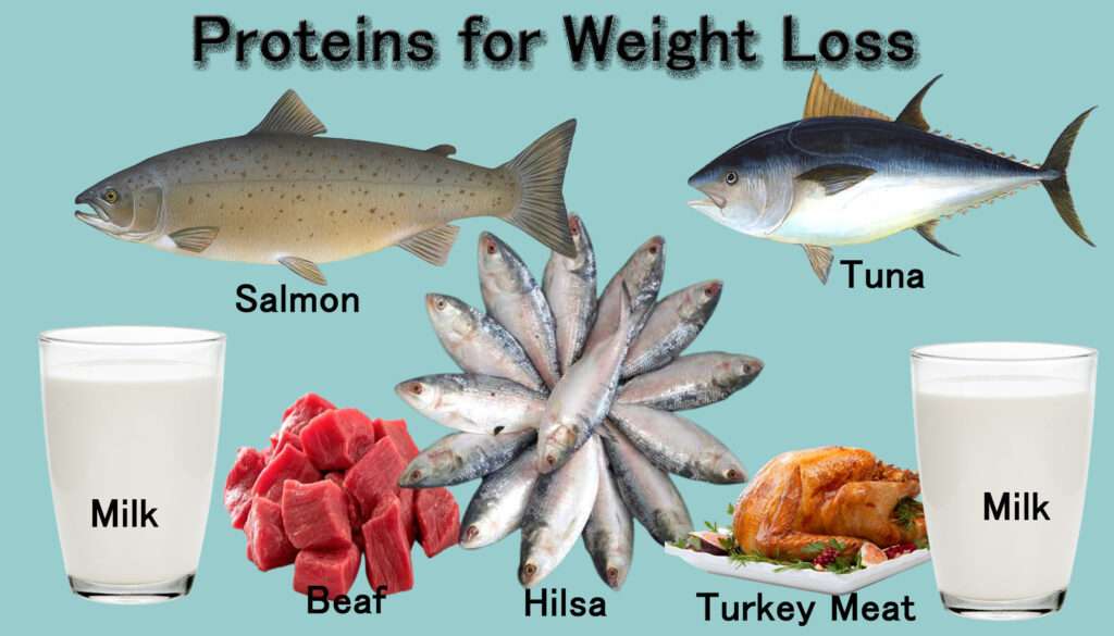 proteins list for weight loss